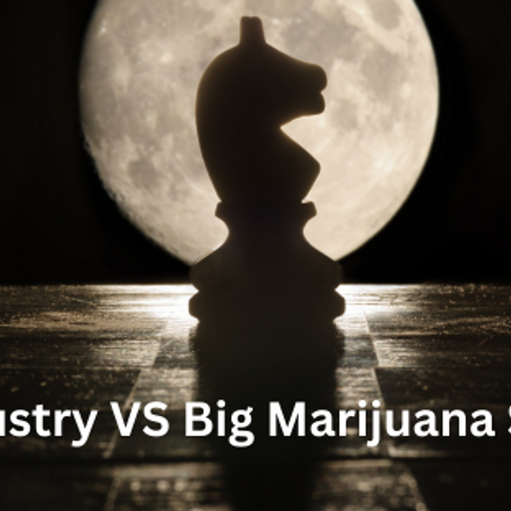 Hemp Under Siege: Unexpected Opponents with Hidden Agendas in 2024 Farm Bill